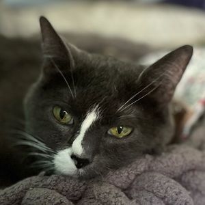 Meet your Posher, Angela